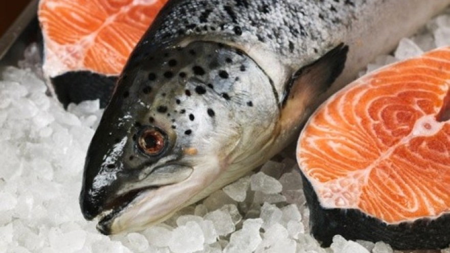 Sharp rise in imports of seafood