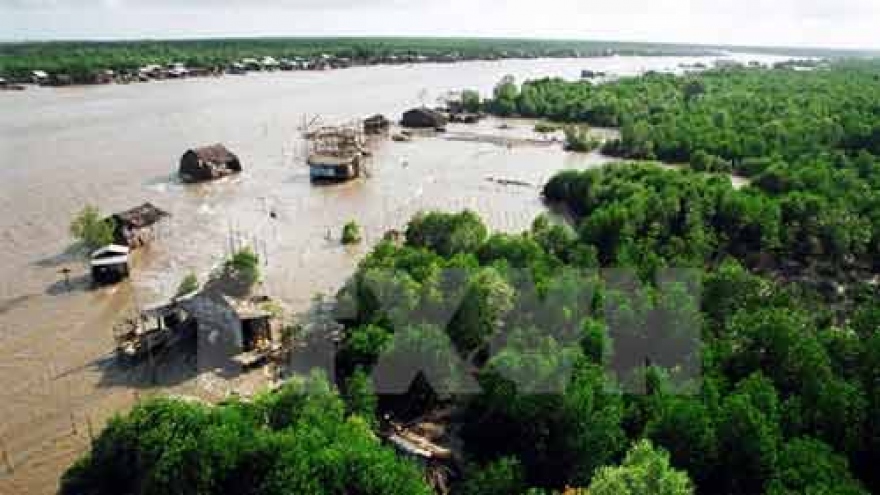 
        Ca Mau to boost ecological shrimp farming
                              