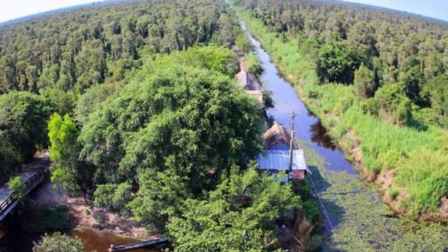 US$18mln plan adopted for U Minh Ha National Park preservation work