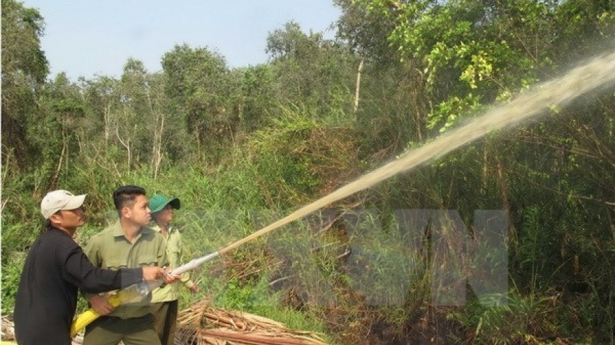 Ca Mau: over 11,000 hectares of forest on red fire alert