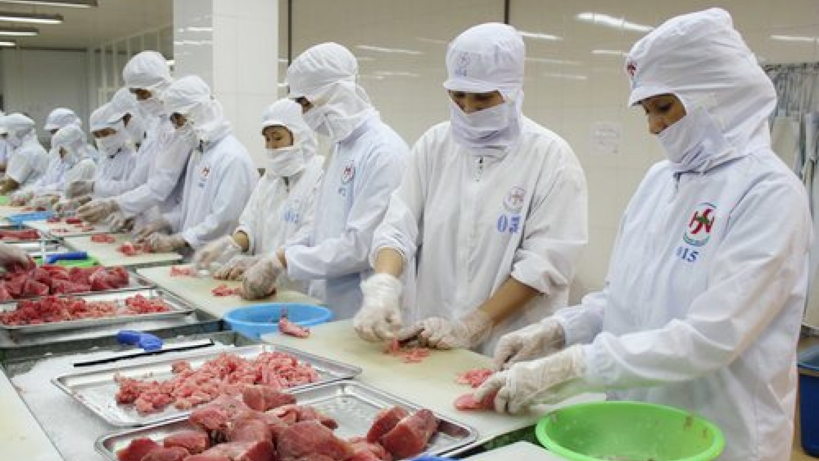 Inefficiencies seen as crippling tuna exports 