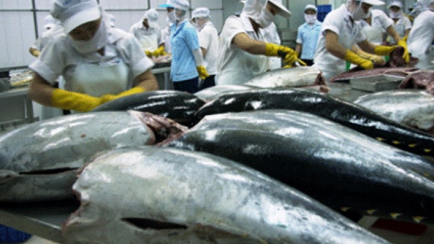 Vietnam tuna much sought after in Italy