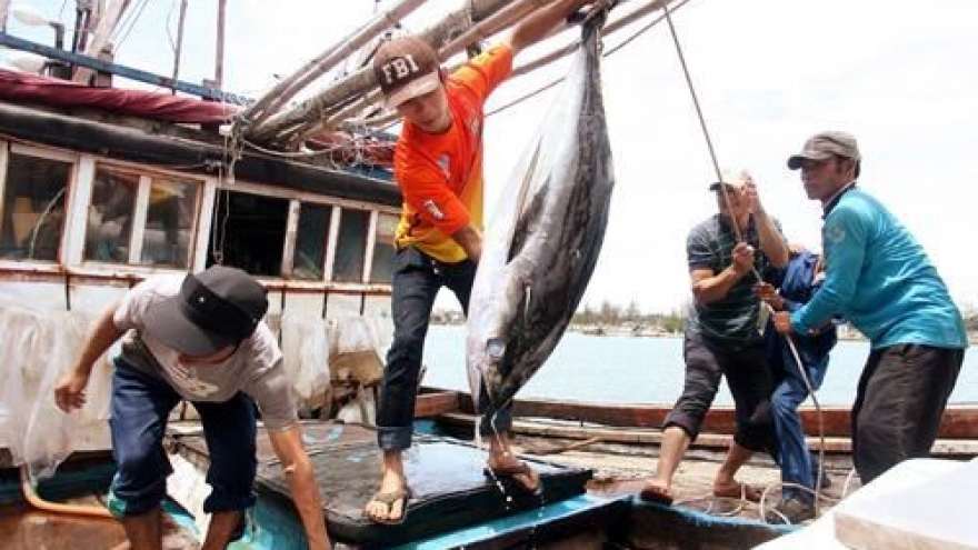 
        Nghe An develops offshore fishing ships
                              