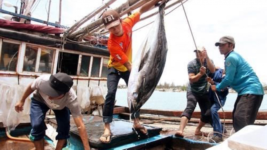 Nghe An develops offshore fishing ships