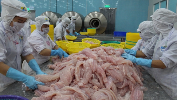 Vietnam plans to up tilapia production by 160%