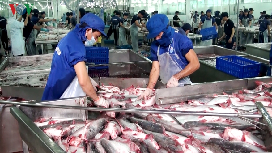 Tra fish exports to Japan skyrocket in four months