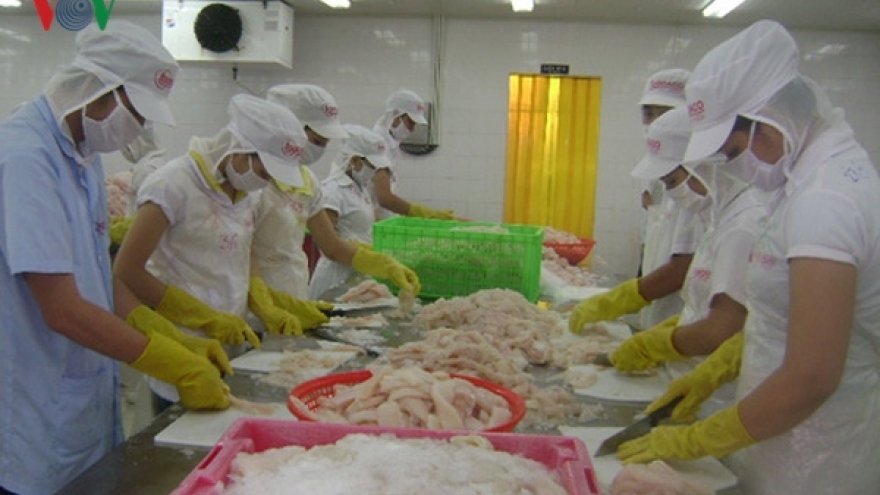 Tra fish exports see positive signs