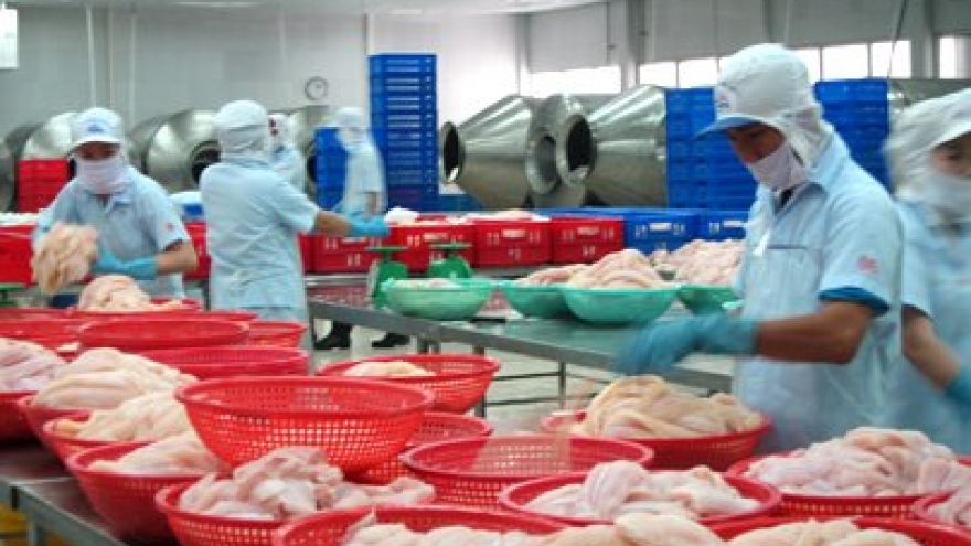 Tra fish exports to Brazil up 17.2%