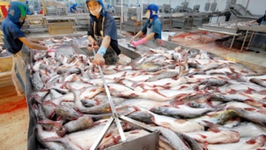US becomes Vietnam’s largest tra fish importer
