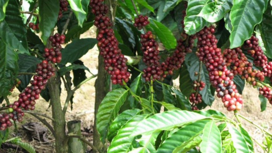 Improving competitive edge for agricultural and aquatic products 