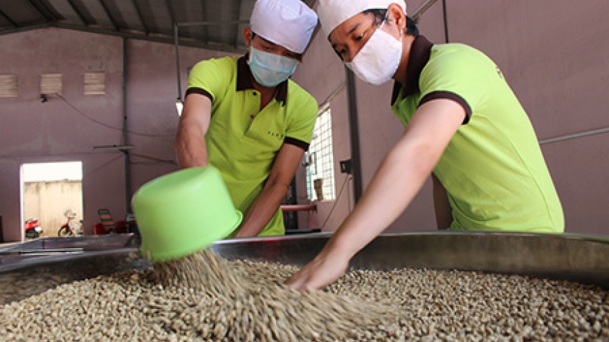 Indian company to establish US$50 million coffee plant in Vietnam