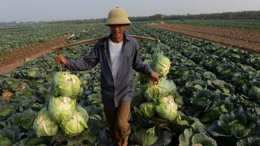 Vietnam's economy likely to lag behind neighbors in 20 years