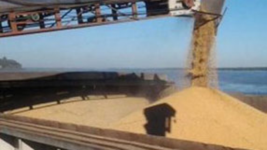 Vietnam largest importer of soybean meal from Argentina