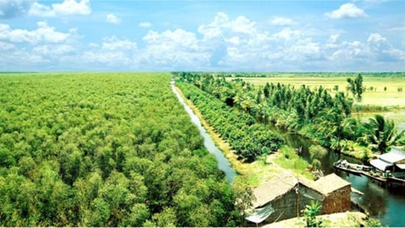 Ca Mau seeks solutions for lacklustre tourism sector
