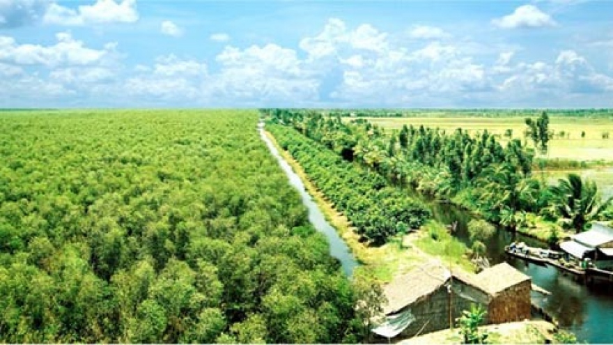 Ca Mau seeks solutions for lacklustre tourism sector