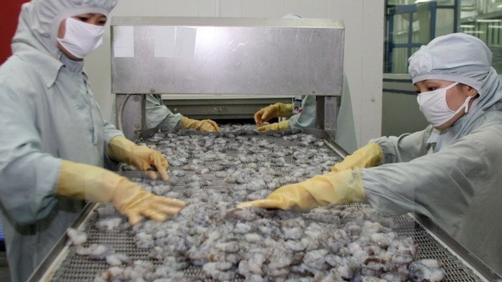 Ca Mau targets US$1.1 billion in export revenue for 2017