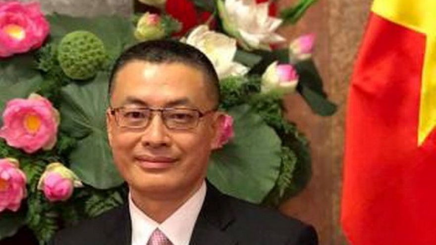 Vietnam to double efforts to boost cooperation with Cambodia: ambassador