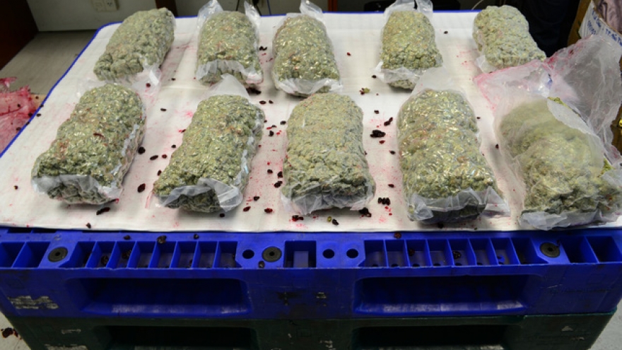 An Giang police arrest two locals transporting cannabis 