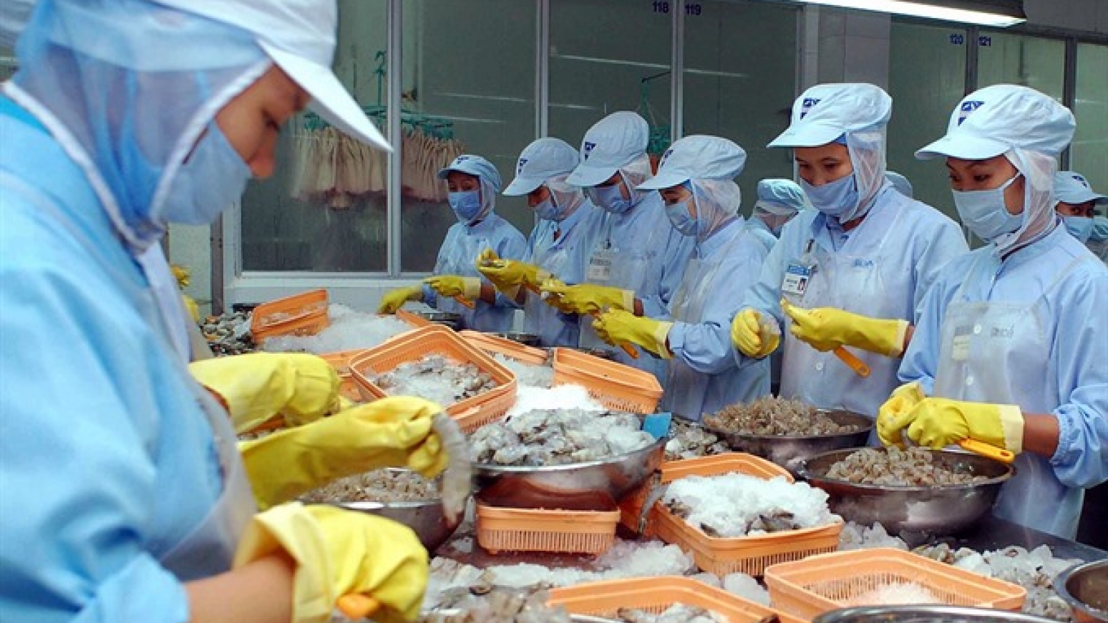 Canada holds promise for Vietnam farms