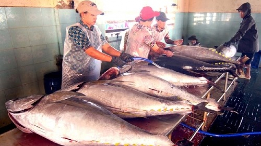 Vietnam’s tuna exports up slightly