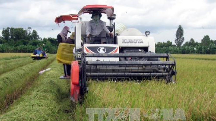Tien Giang to expand large-scale fields