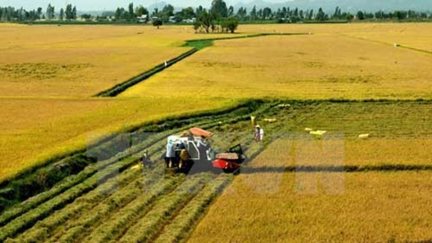 Japanese corporation to introduce farming machinery to Can Tho