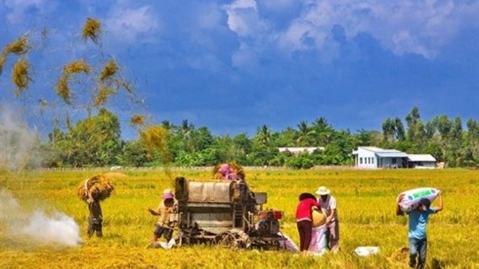RoK helps Can Tho mechanise agriculture