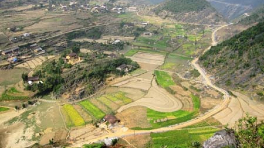 Dong Van Stone Plateau welcomes New Year visitors