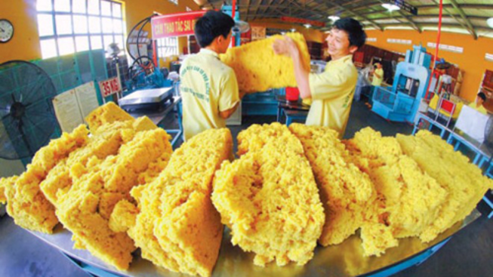 Vietnamese natural rubber exports hit lowest level in 4 years