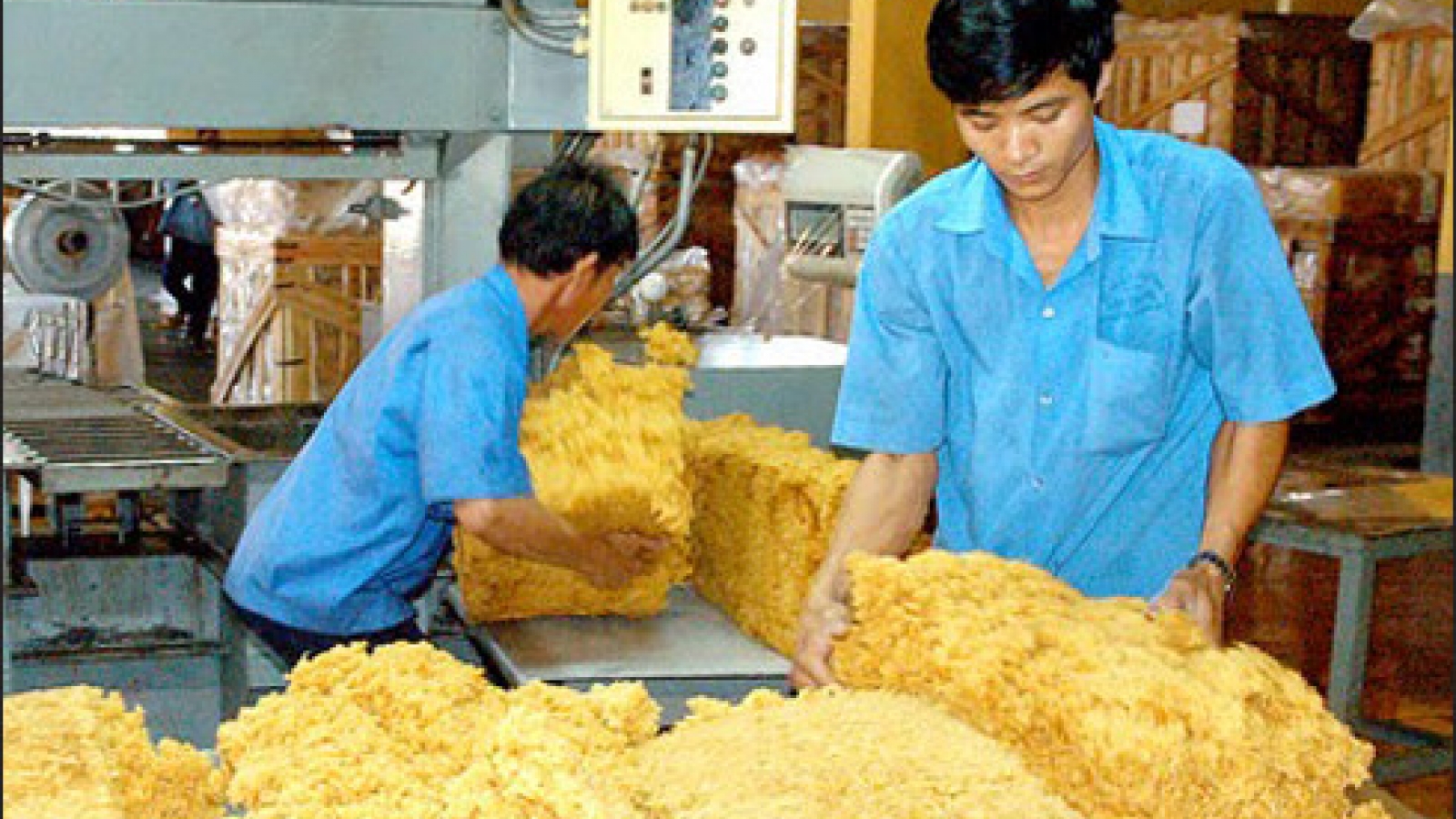 Vietnam rubber output to dip to six-year low for 2016