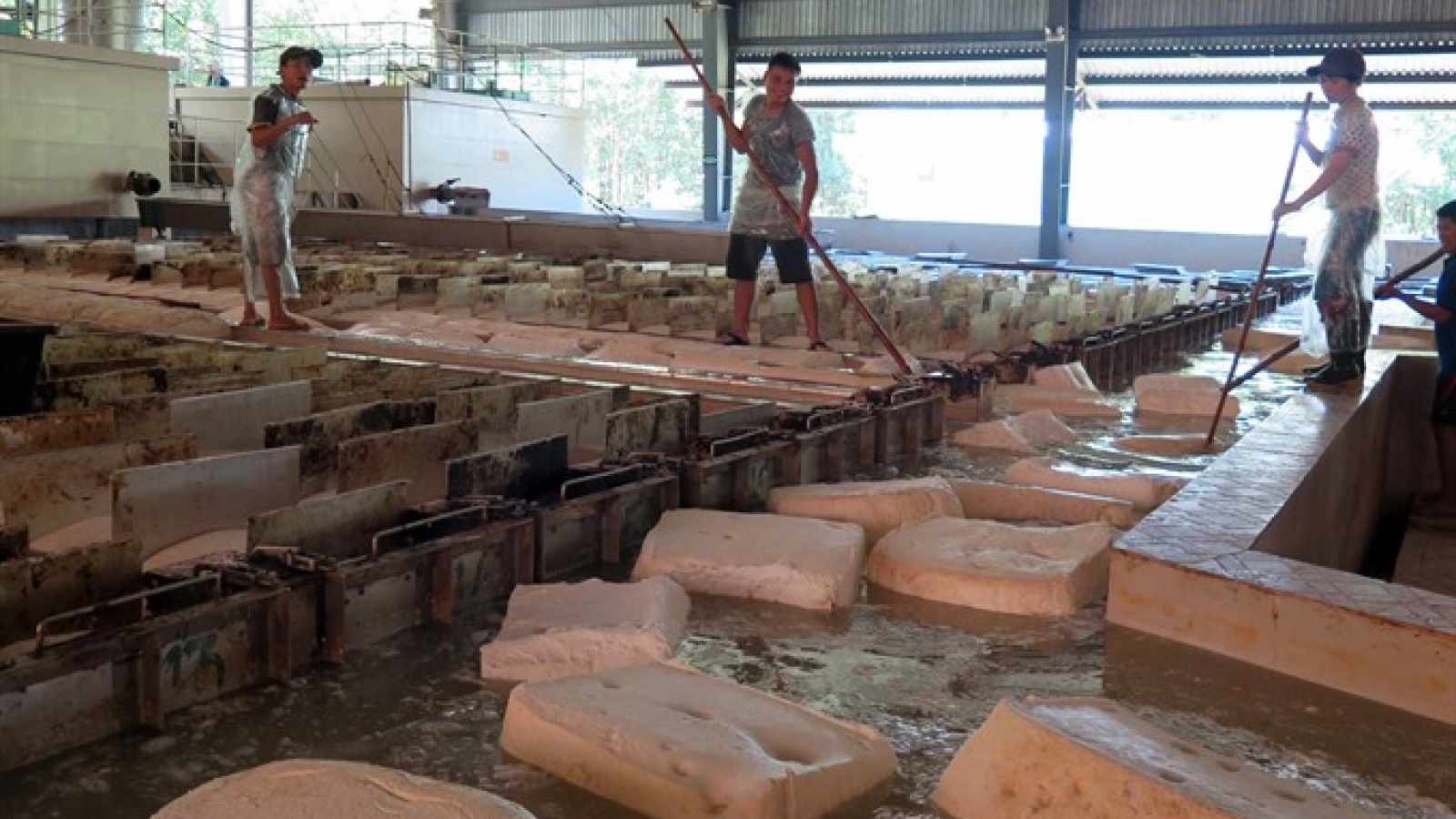 Rubber industry eyes sustainability