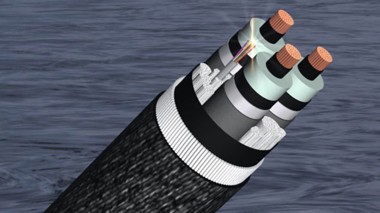 Damaged undersea internet cable disrupts service