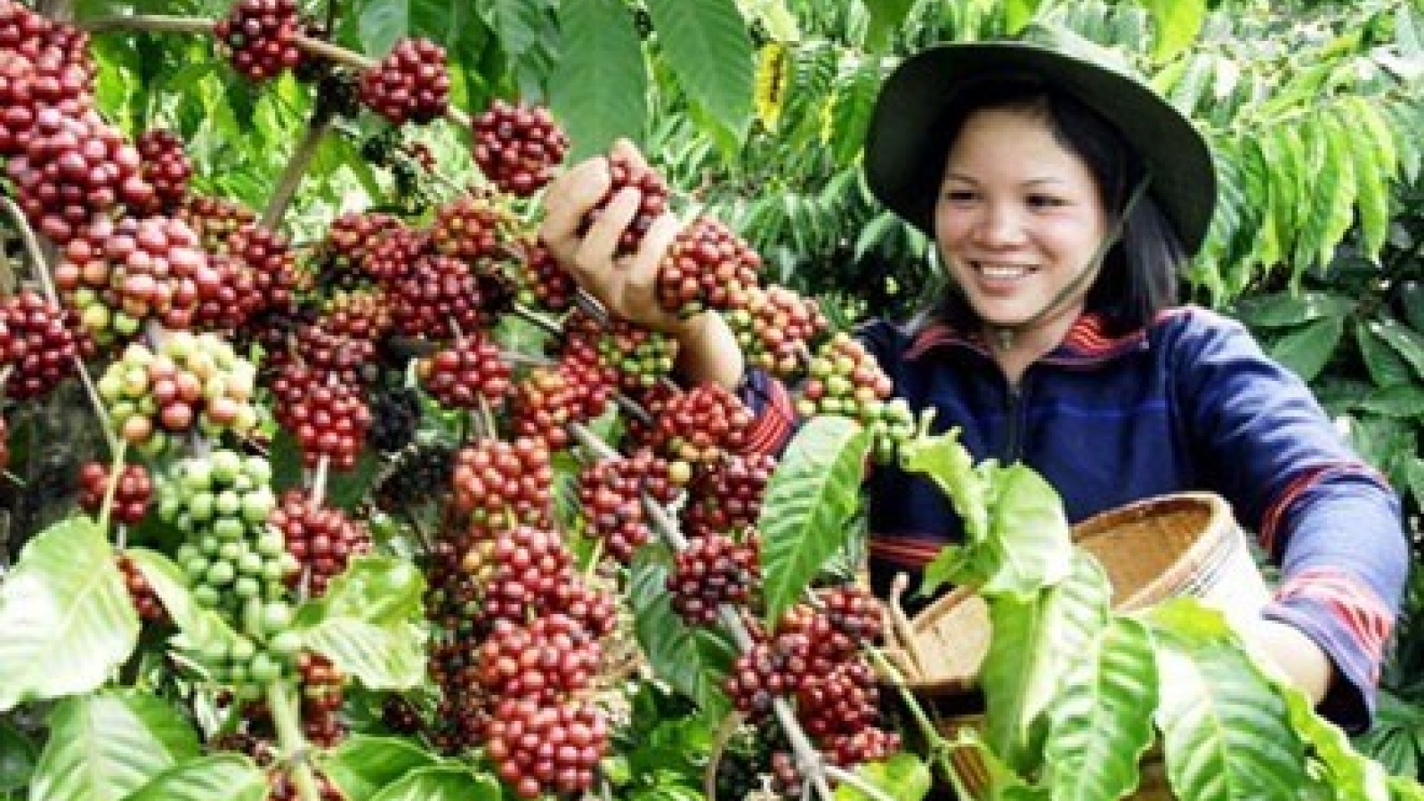 Changes brew in coffee industry
