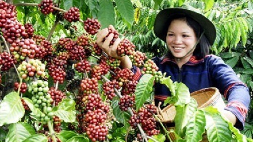 Changes brew in coffee industry
