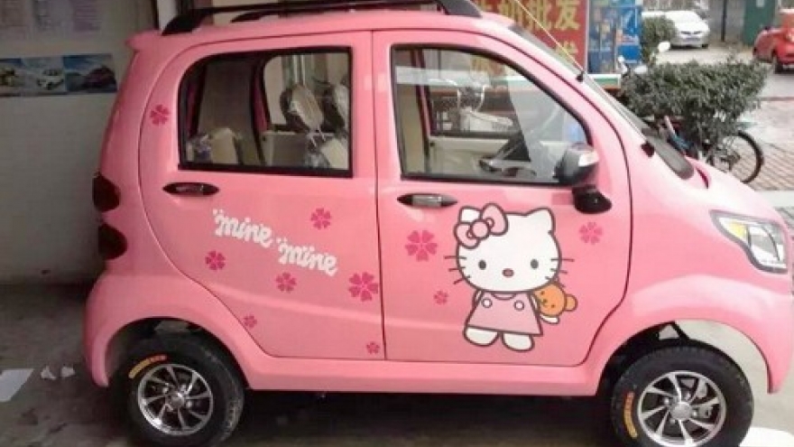 Vietnam Register warns against purchase of electric cars