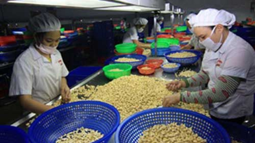 Int'l cashew processing exhibition opens in Long An