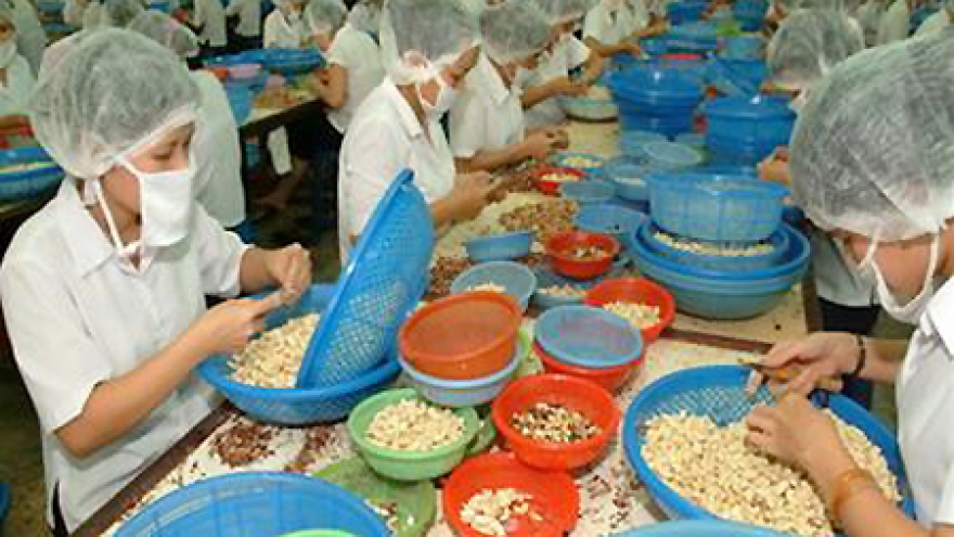 Vietnamese cashews marketed to Hong Kong’s biggest fair