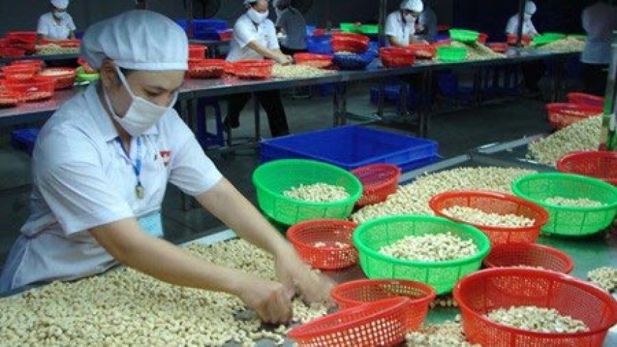 West African delegation looks to study Binh Phuoc’s cashew sector