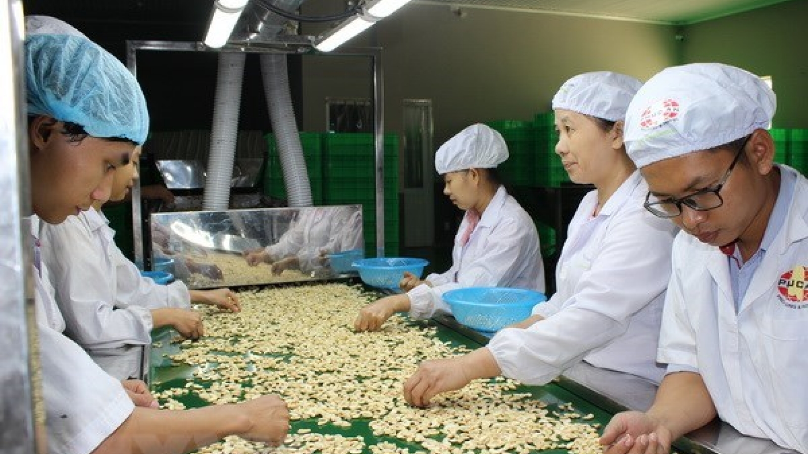 Science-technology promotes farm produce exports
