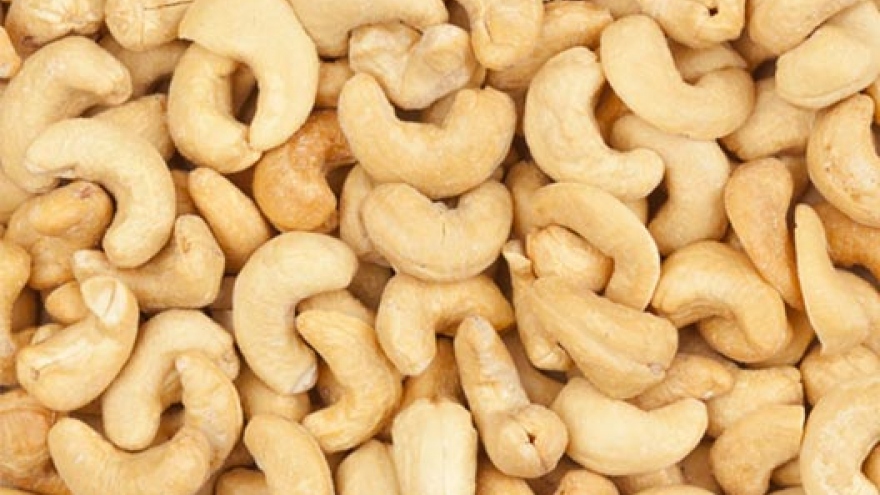 Cashew nut segment lowers expectations for export growth
