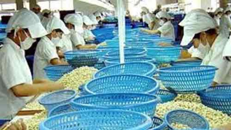 Cashew industry to establish fund