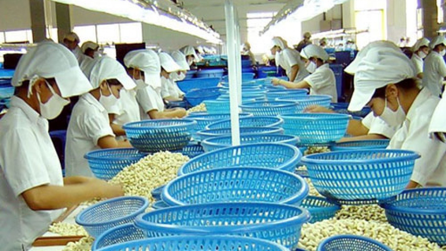 
        Cashew market remains volatile after Brexit
                              