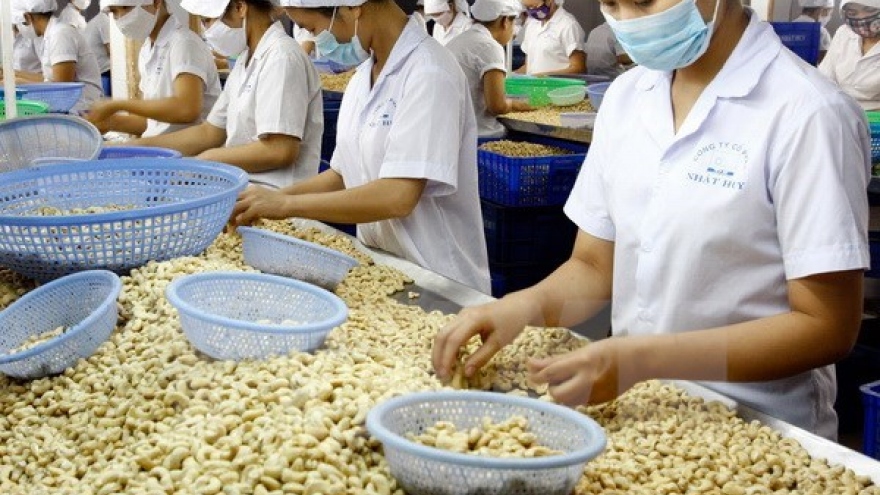 Cashew exports in eight months fetch US$2.2 billion