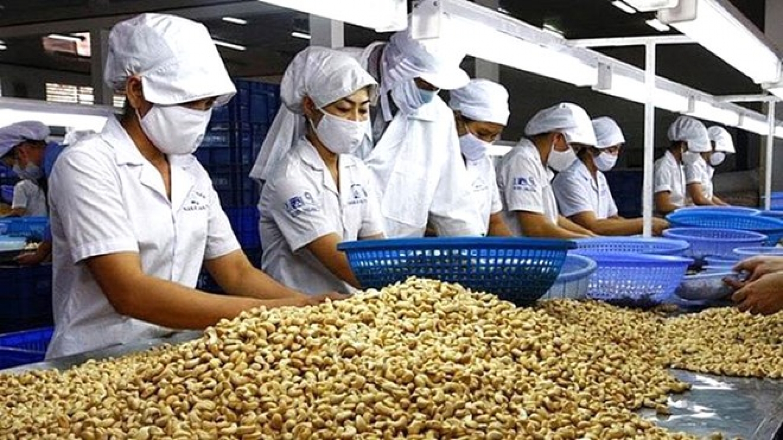 Hanoi boosts exports to Africa