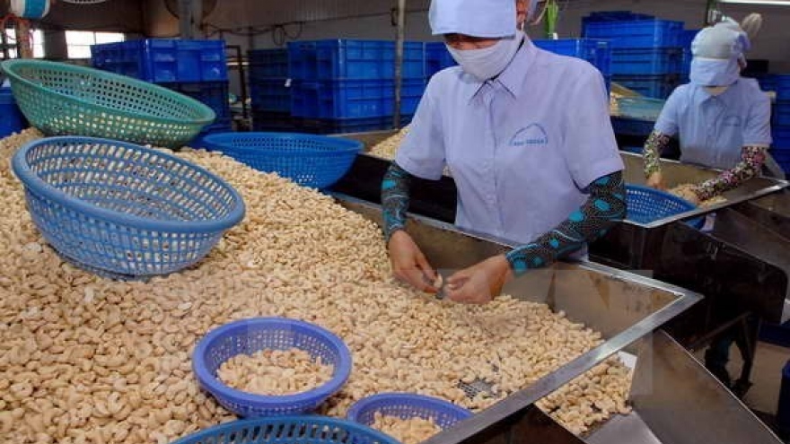 Cashew firms asked to make up output fall with product quality