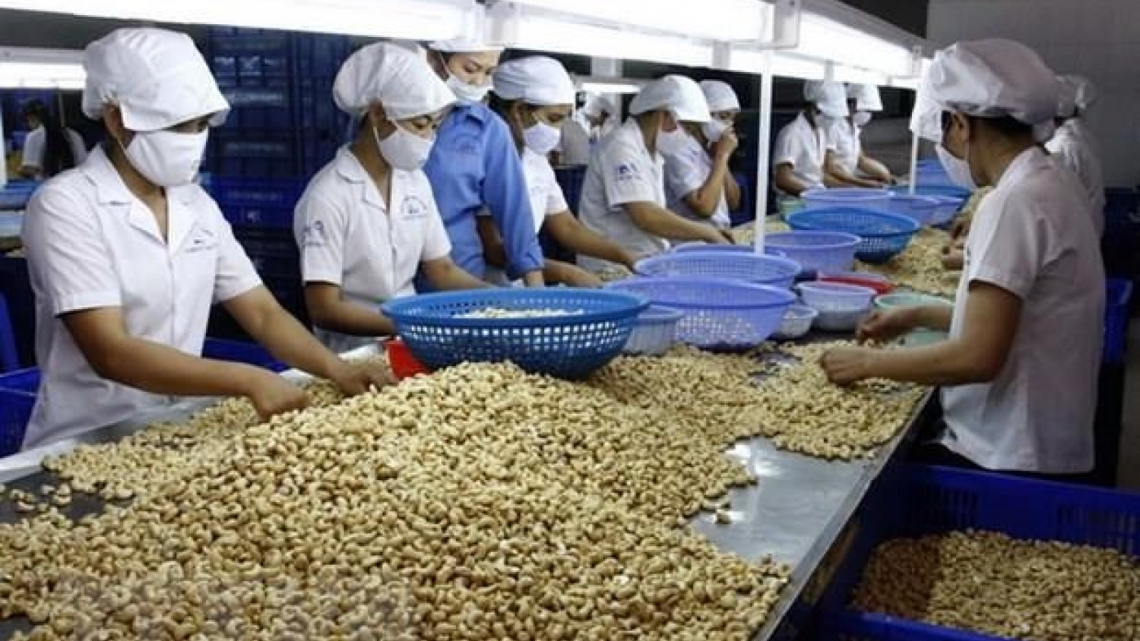 Workshop suggests ways to tap into Middle Eastern, African markets