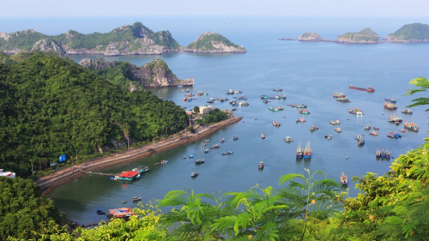 Hai Phong re-nominates Cat Ba for UNESCO World Heritage