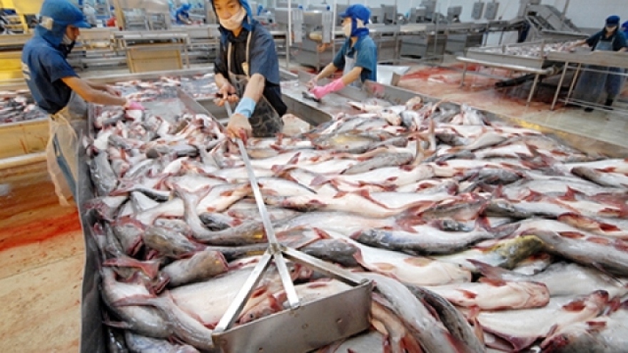 Vietnam detects banned chemicals in 134 batches of catfish exports