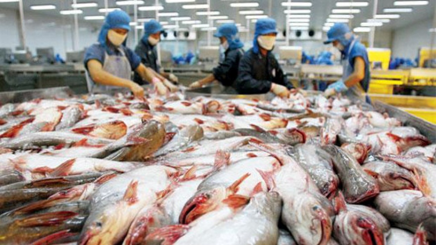 China remains biggest buyer of Vietnam tra fish