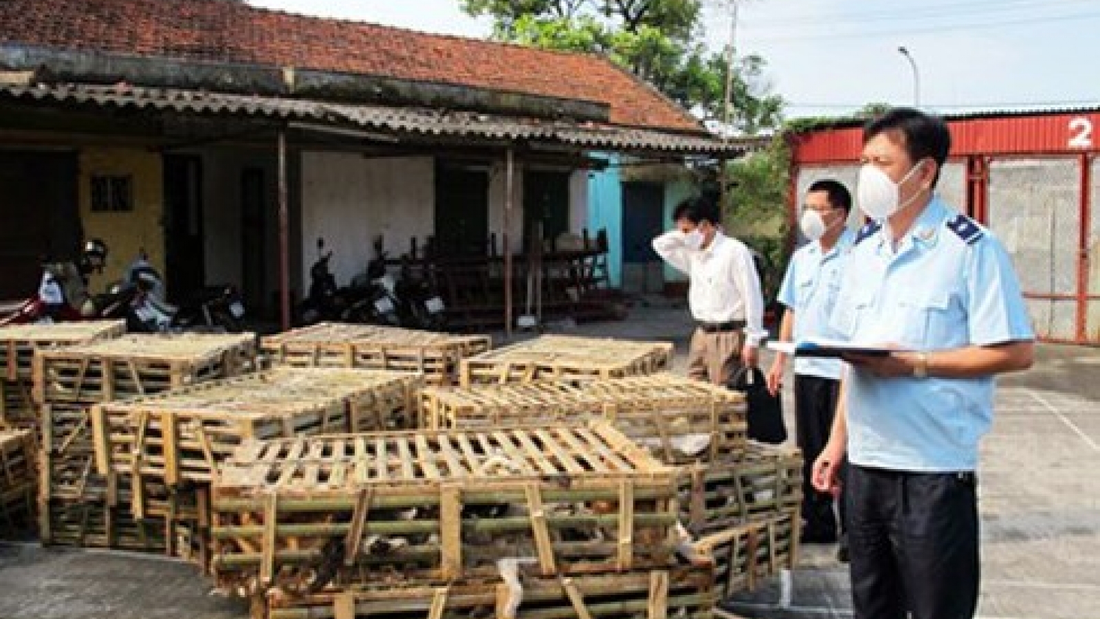 Vietnam to destroy 1 ton of live cats, chicken smuggled in from China